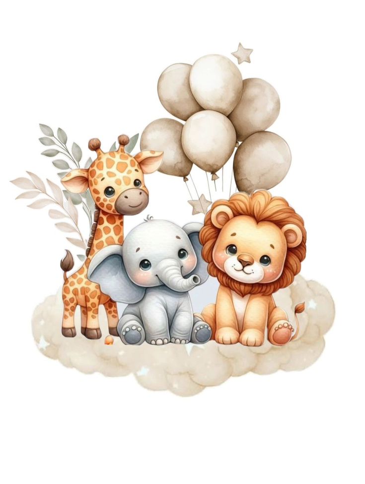 Baptême collection Junge/savane 🐘